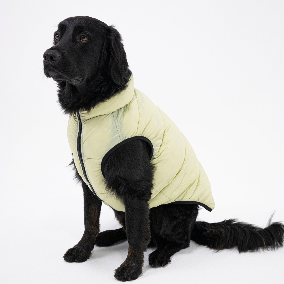 PocketFlip - Hundemantel