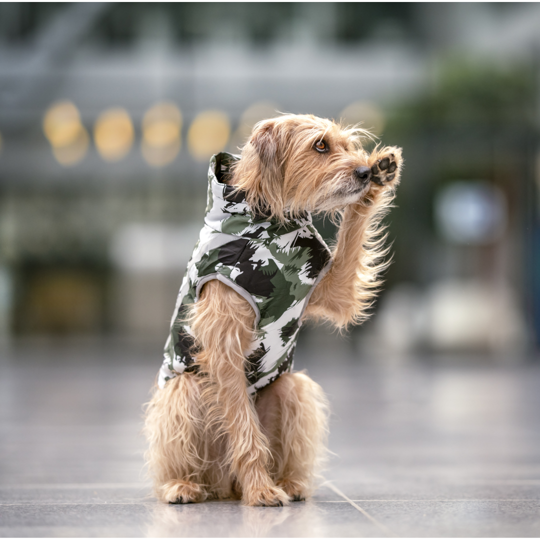 Active+ Thermo Hundemantel