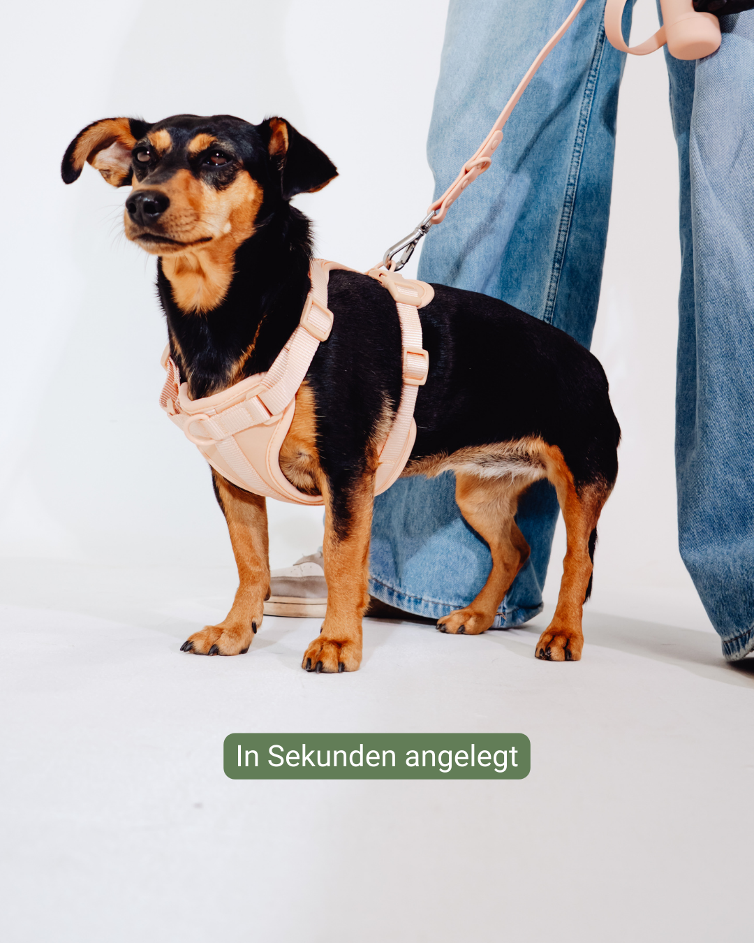 Pfirsich Velvy Geschirr Set