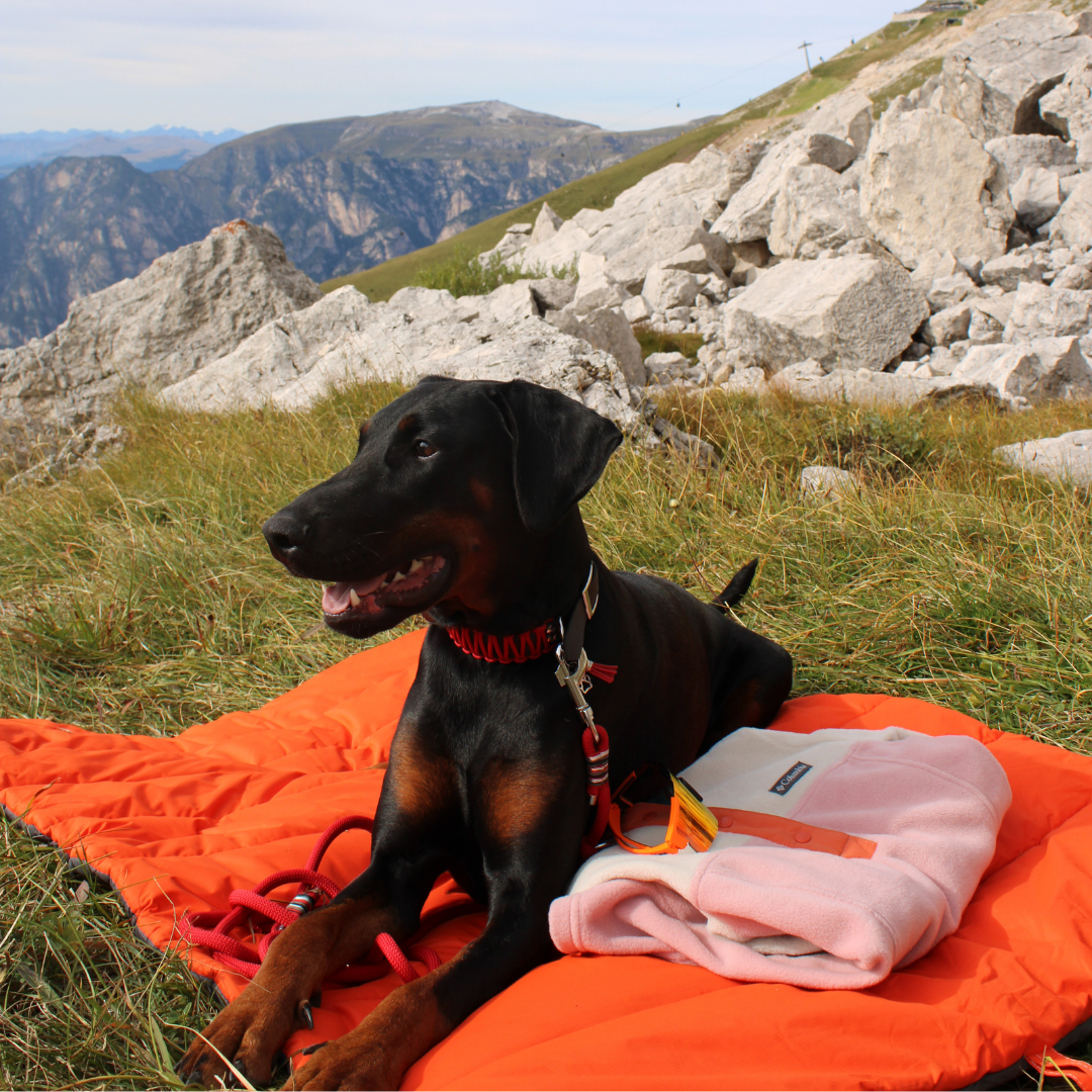 Nomad - Outdoor Hundematte