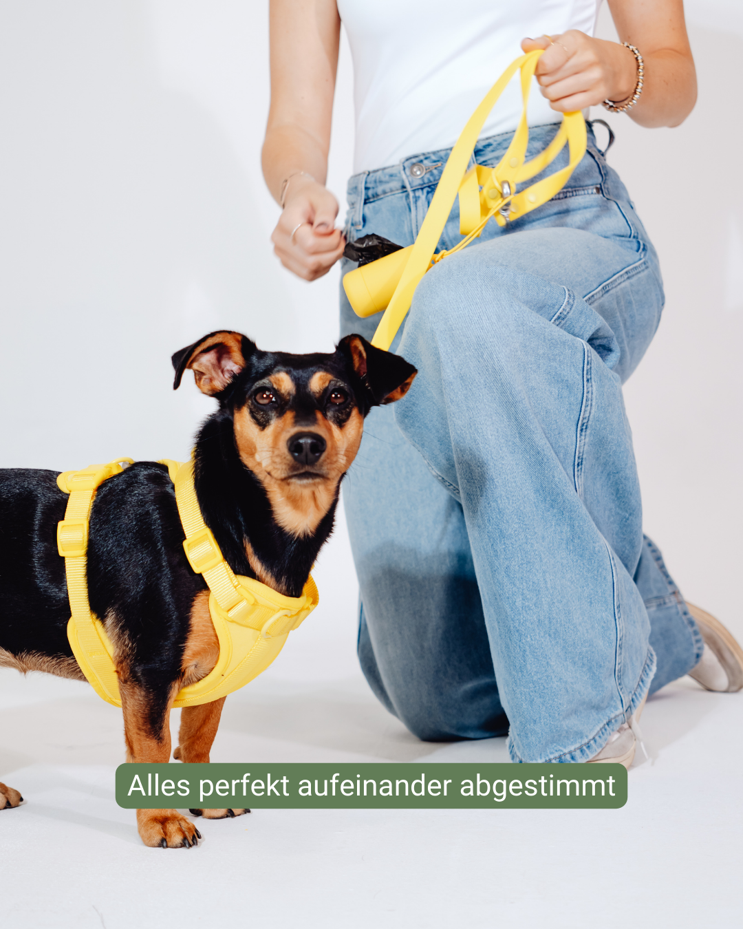 Sunny Soul Velvy Geschirr Set