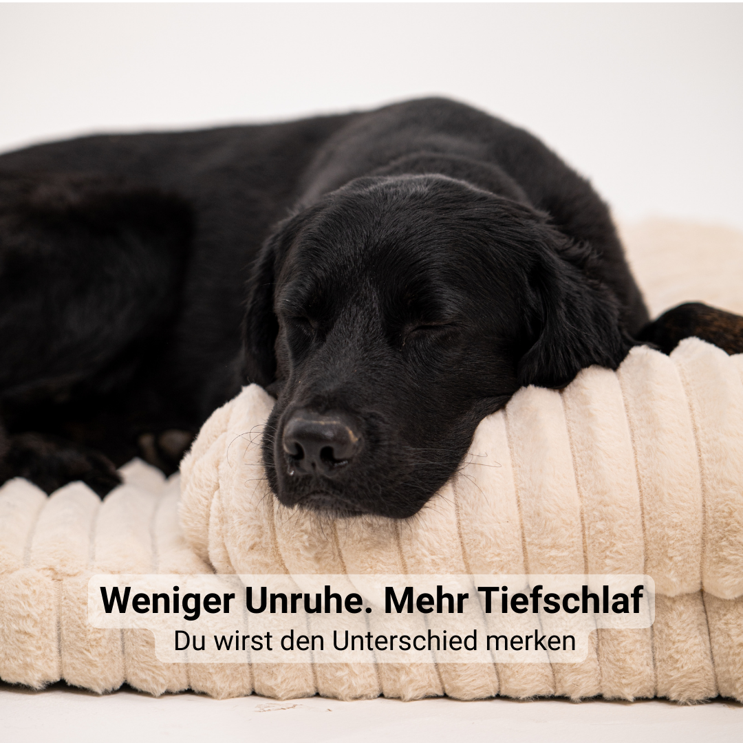 Lunero DeepSleep - orthopädisches Hundebett