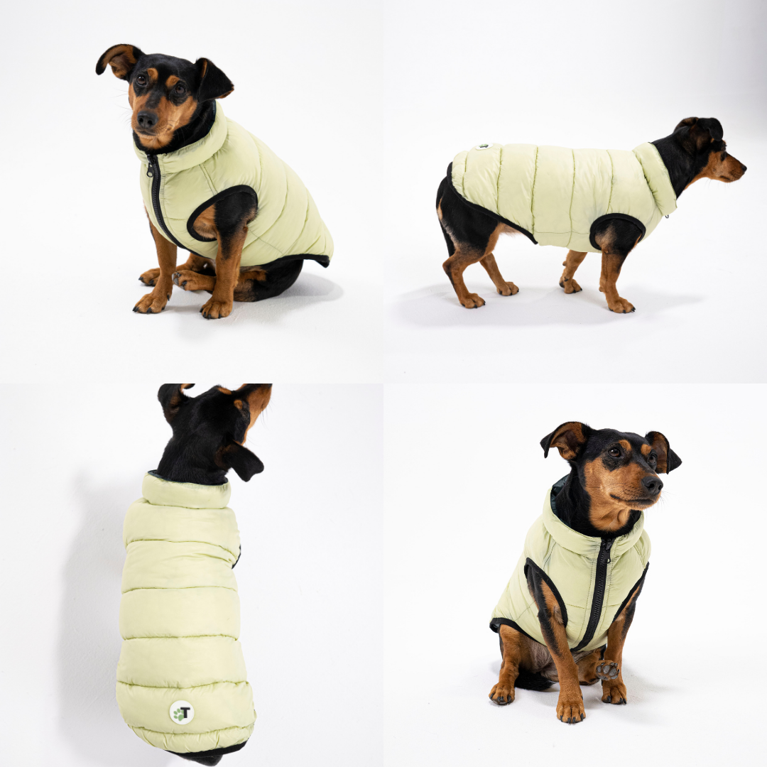 PocketFlip - Hundemantel