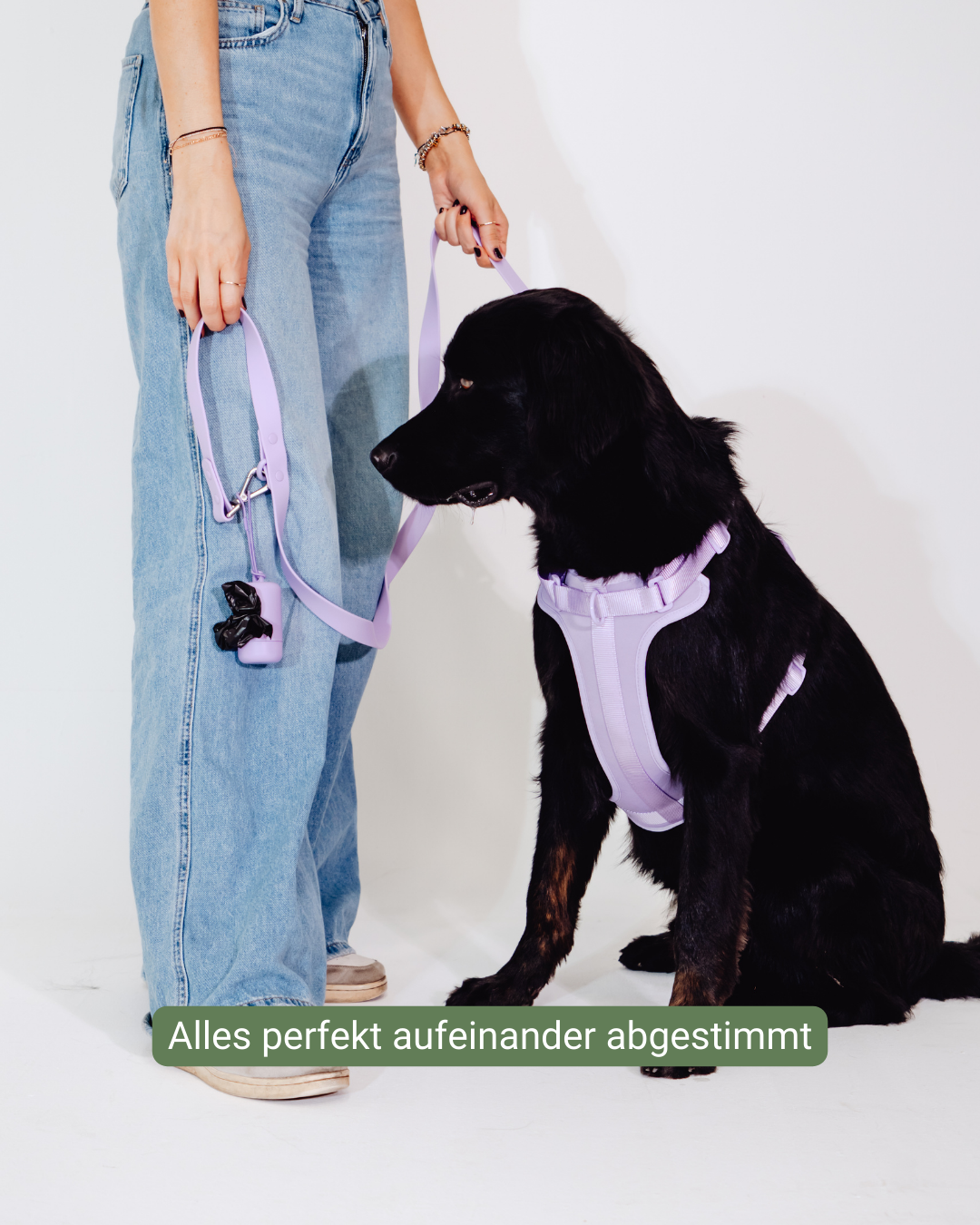Lavendeltraum Velvy Geschirr Set
