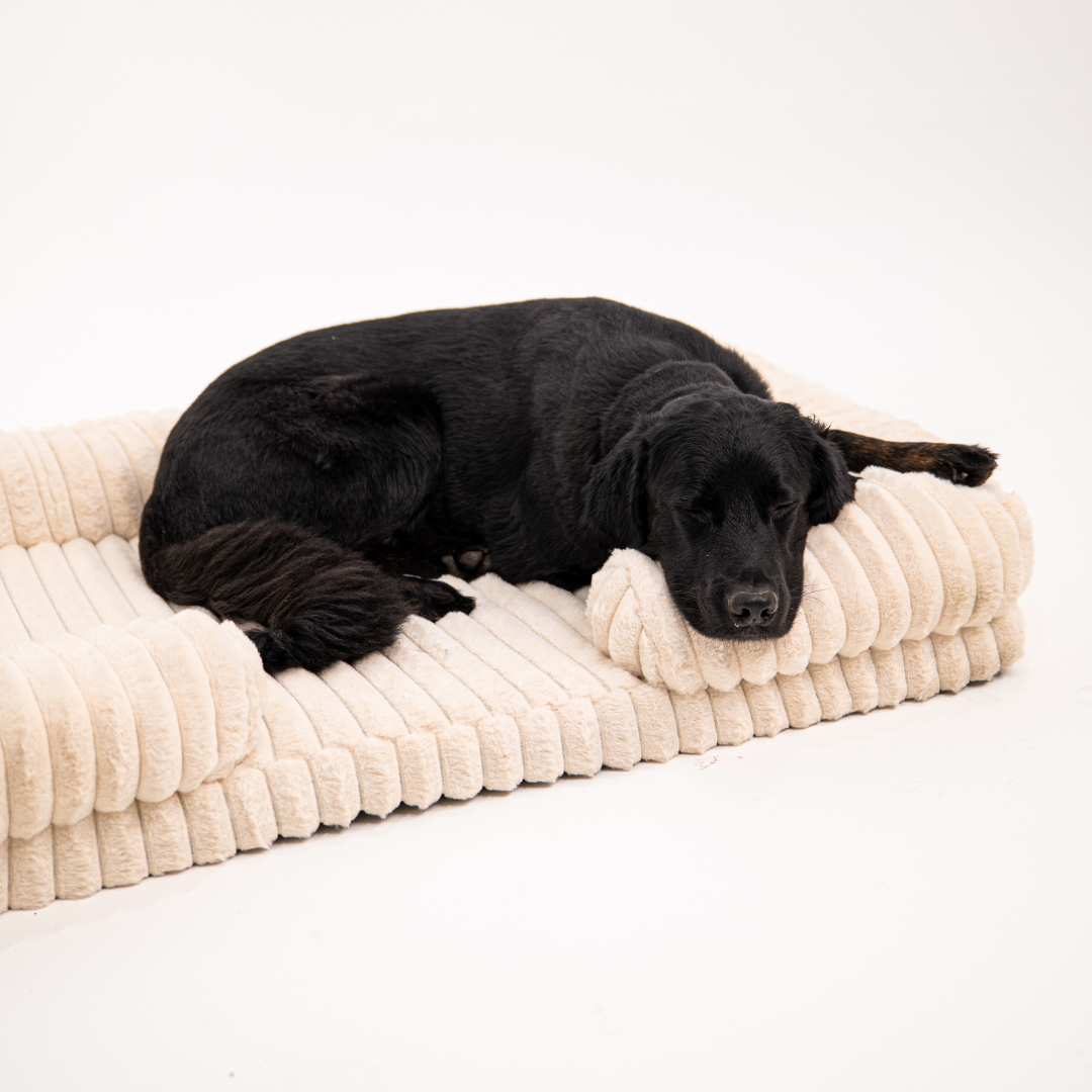 Lunero DeepSleep - orthopädisches Hundebett
