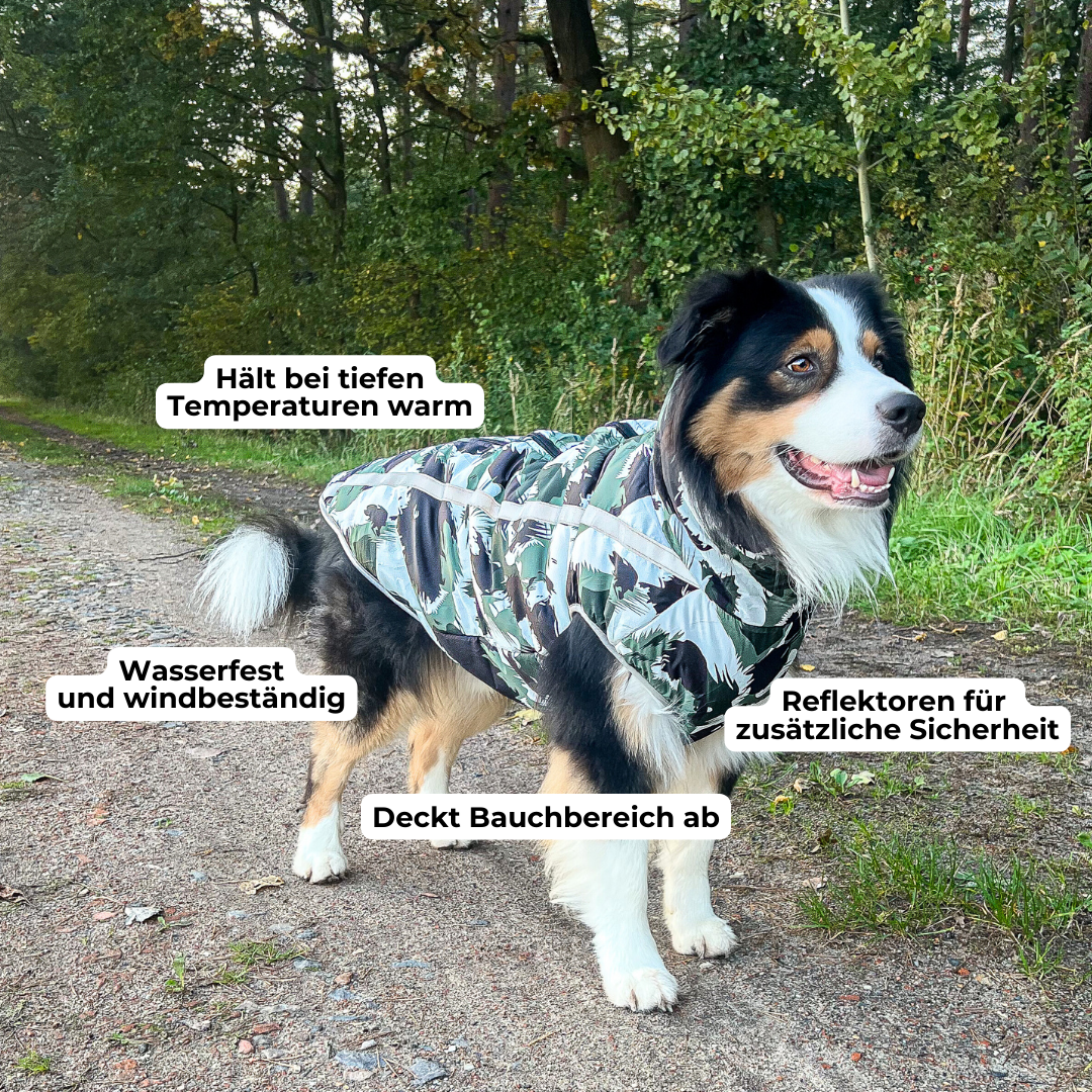 Active+ Thermo Hundemantel