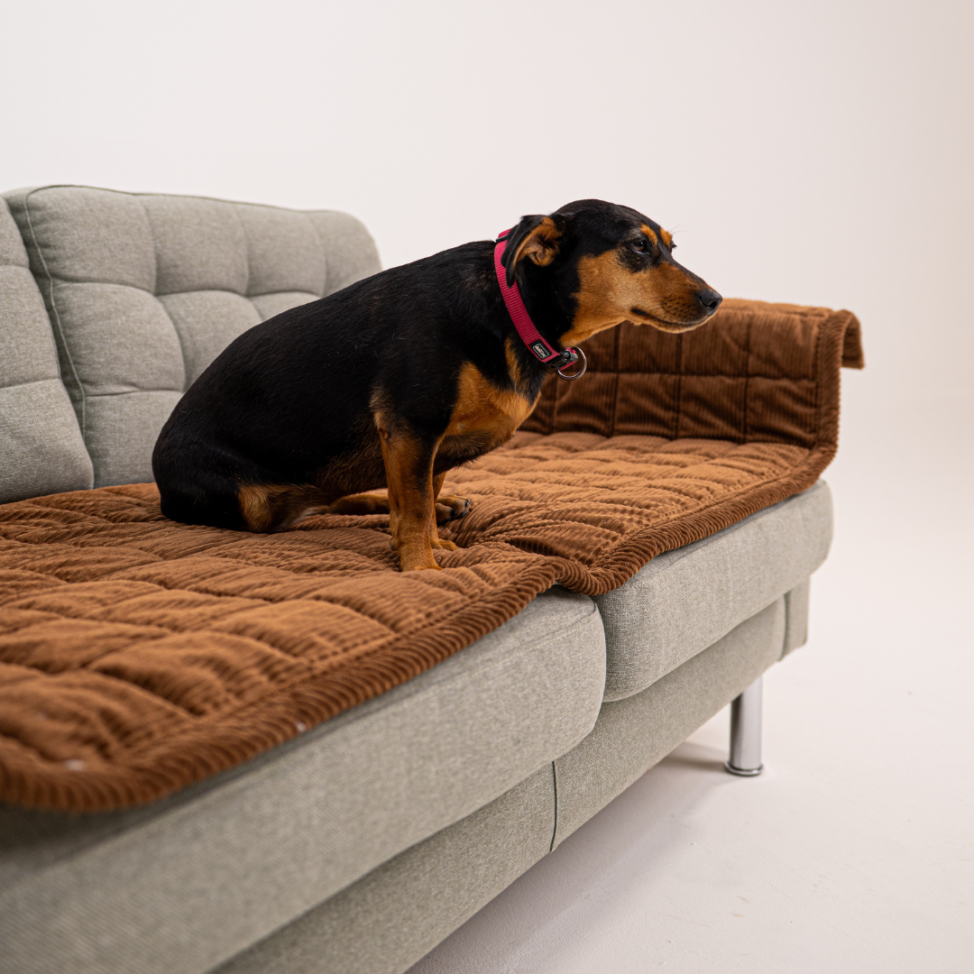 Sofa Guard - Soft