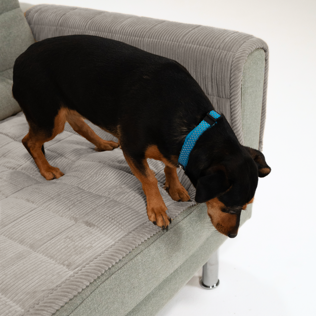 Sofa Guard - Soft