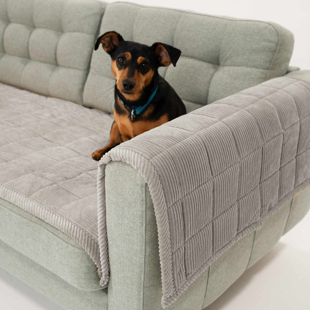 Sofa Guard - Soft