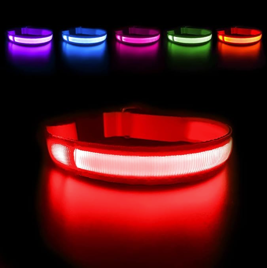 LED-Halsband