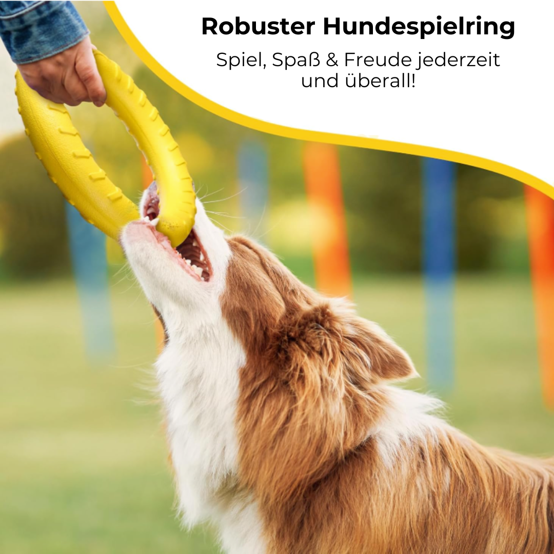 Loopi - Hundespielring