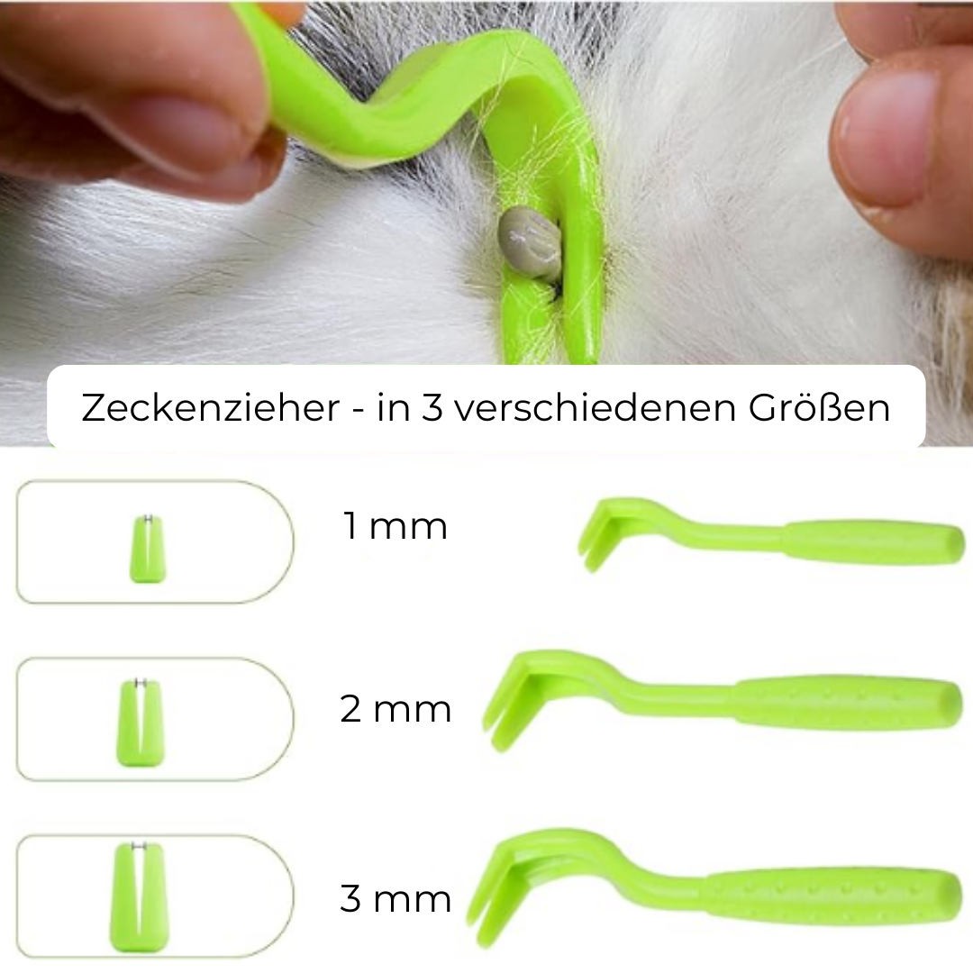 Zecken - Set