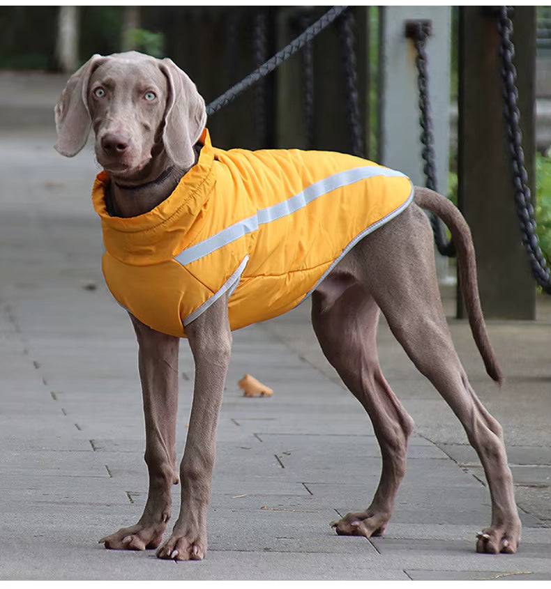 Active+ Thermo Fleece Hundemantel
