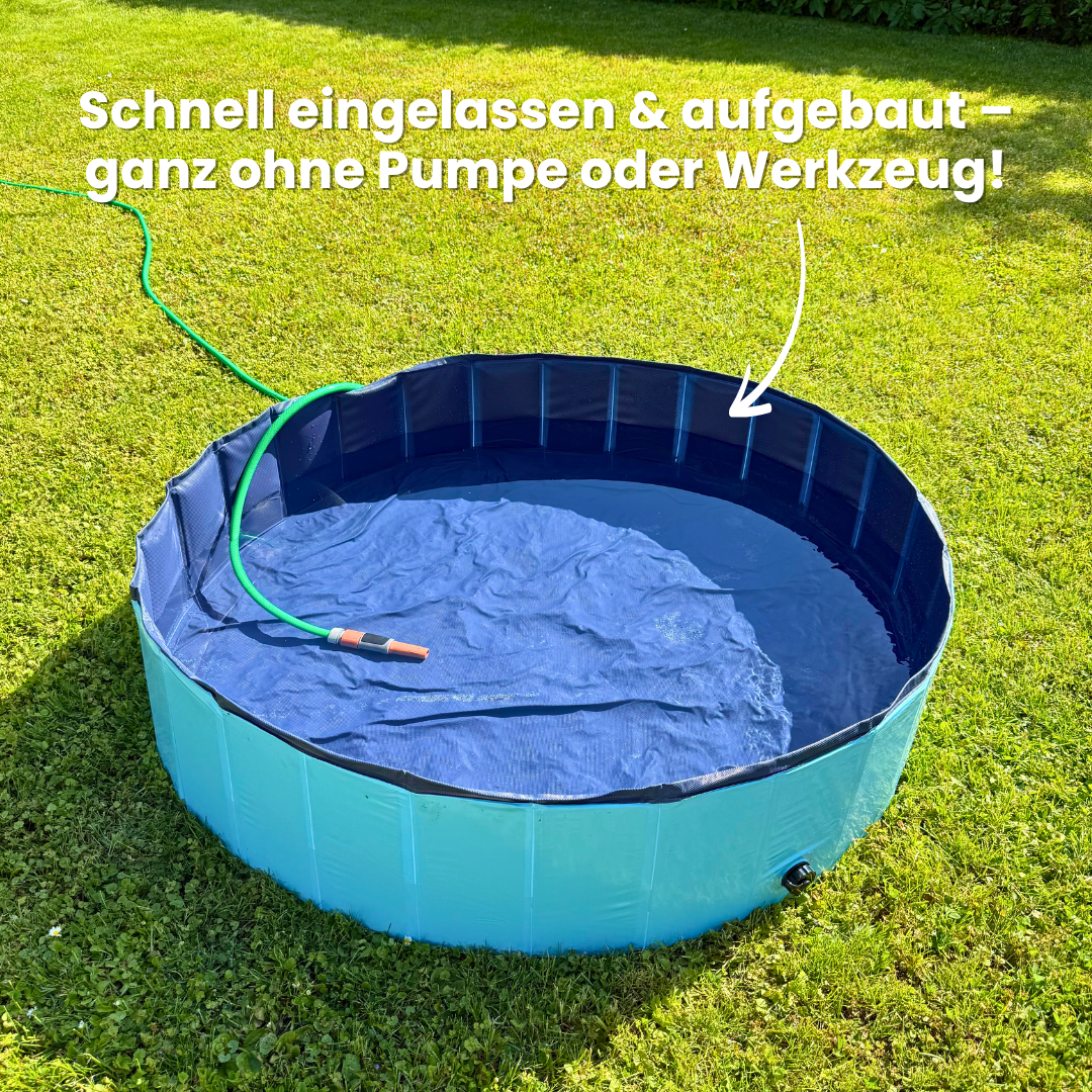 DogSplash - Hundepool