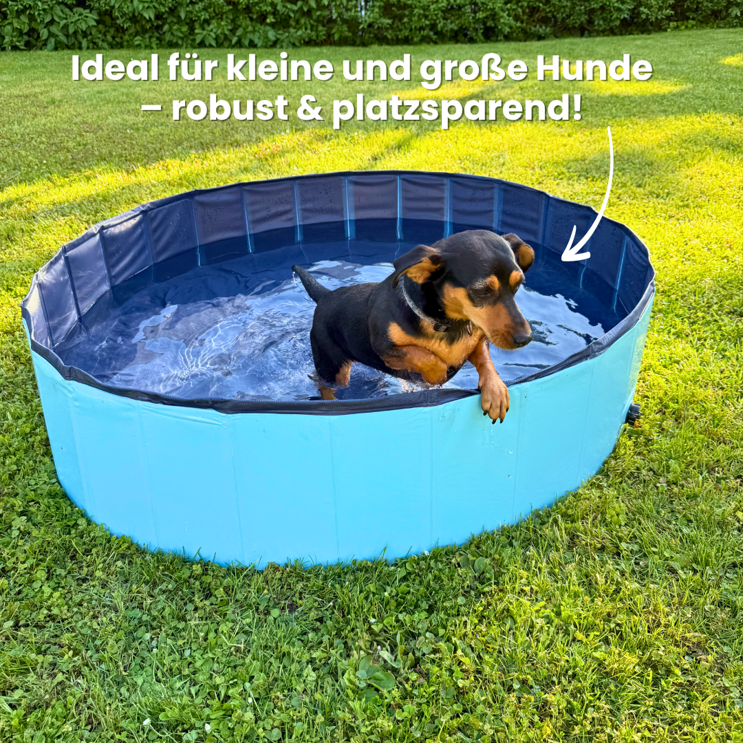 DogSplash - Hundepool