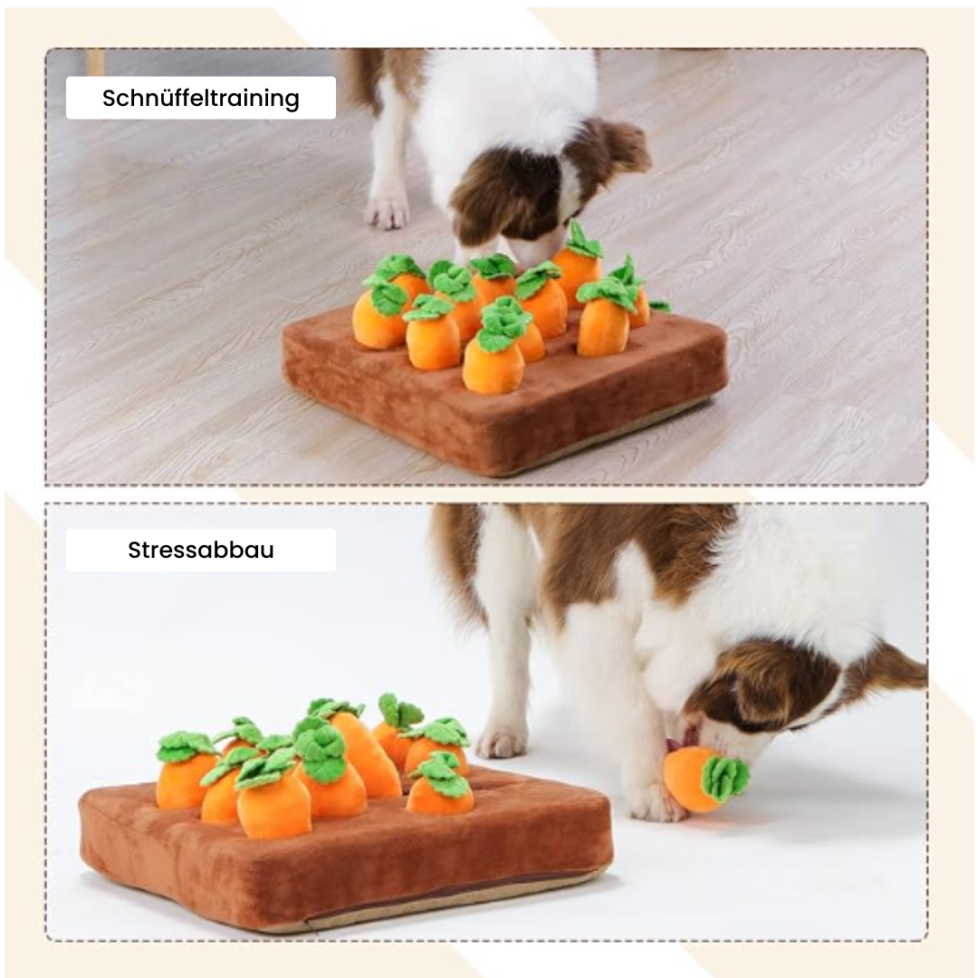 SniffCarrot - Karottenfeld