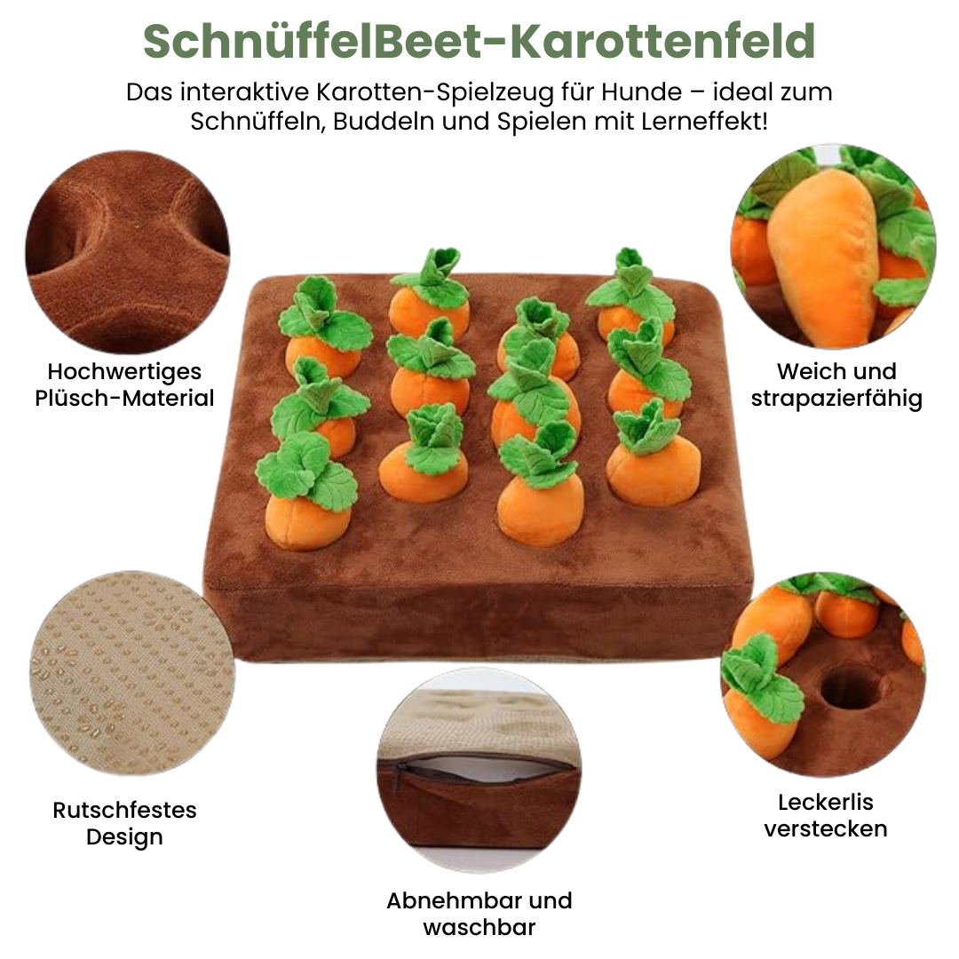 SniffCarrot - Karottenfeld