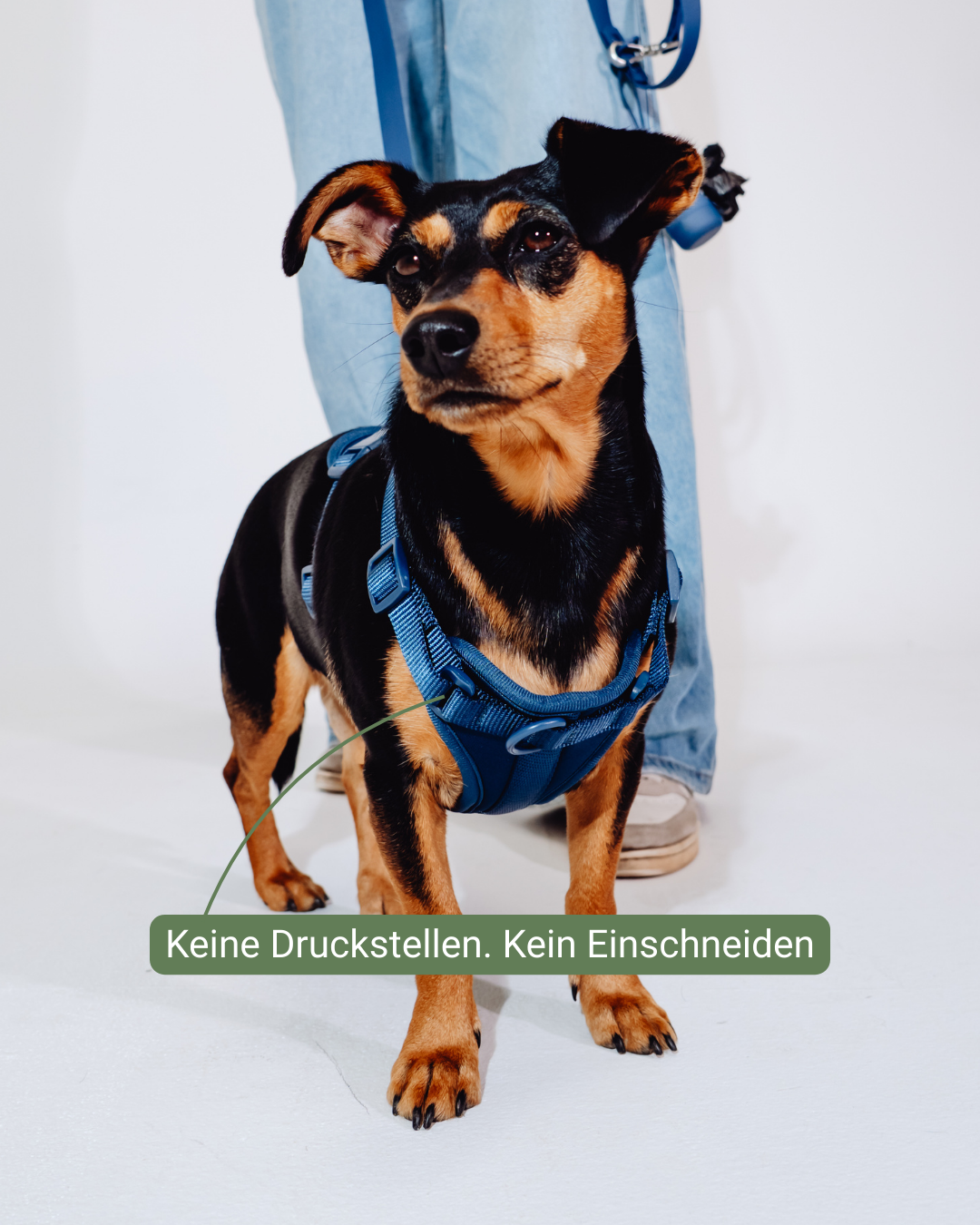 Navy Velvy Geschirr Set