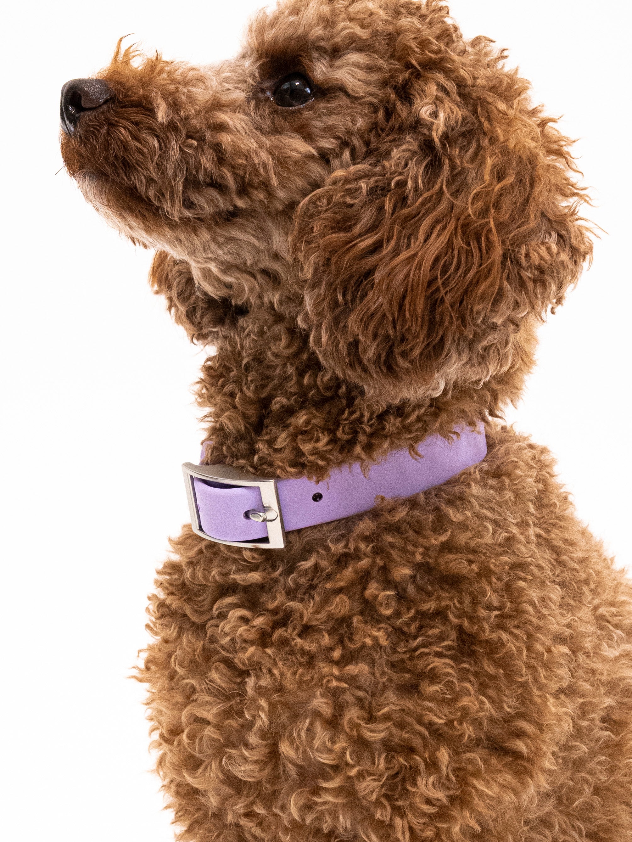 Lavendeltraum Velvy Halsband