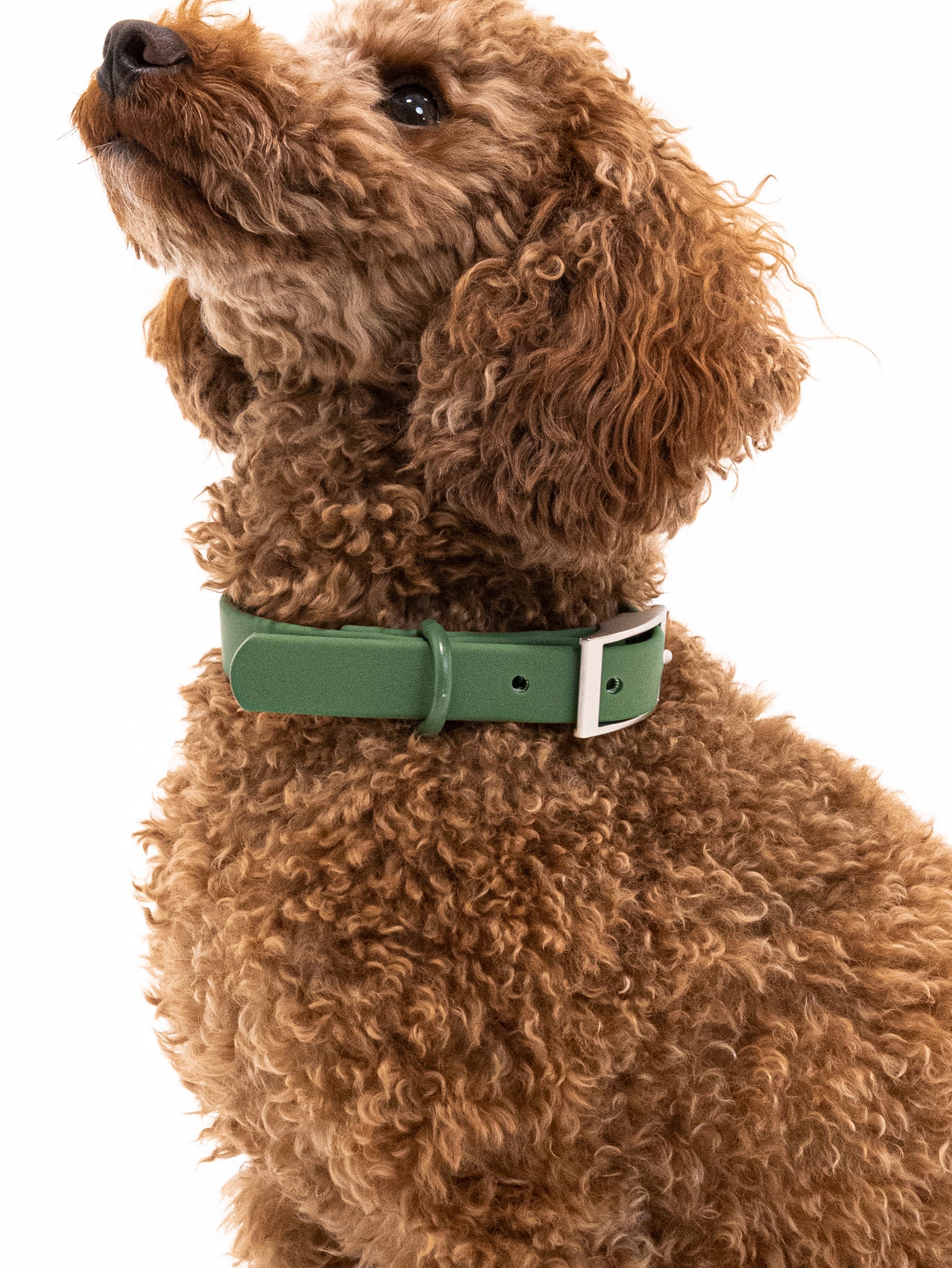 Waldpfote Velvy Halsband