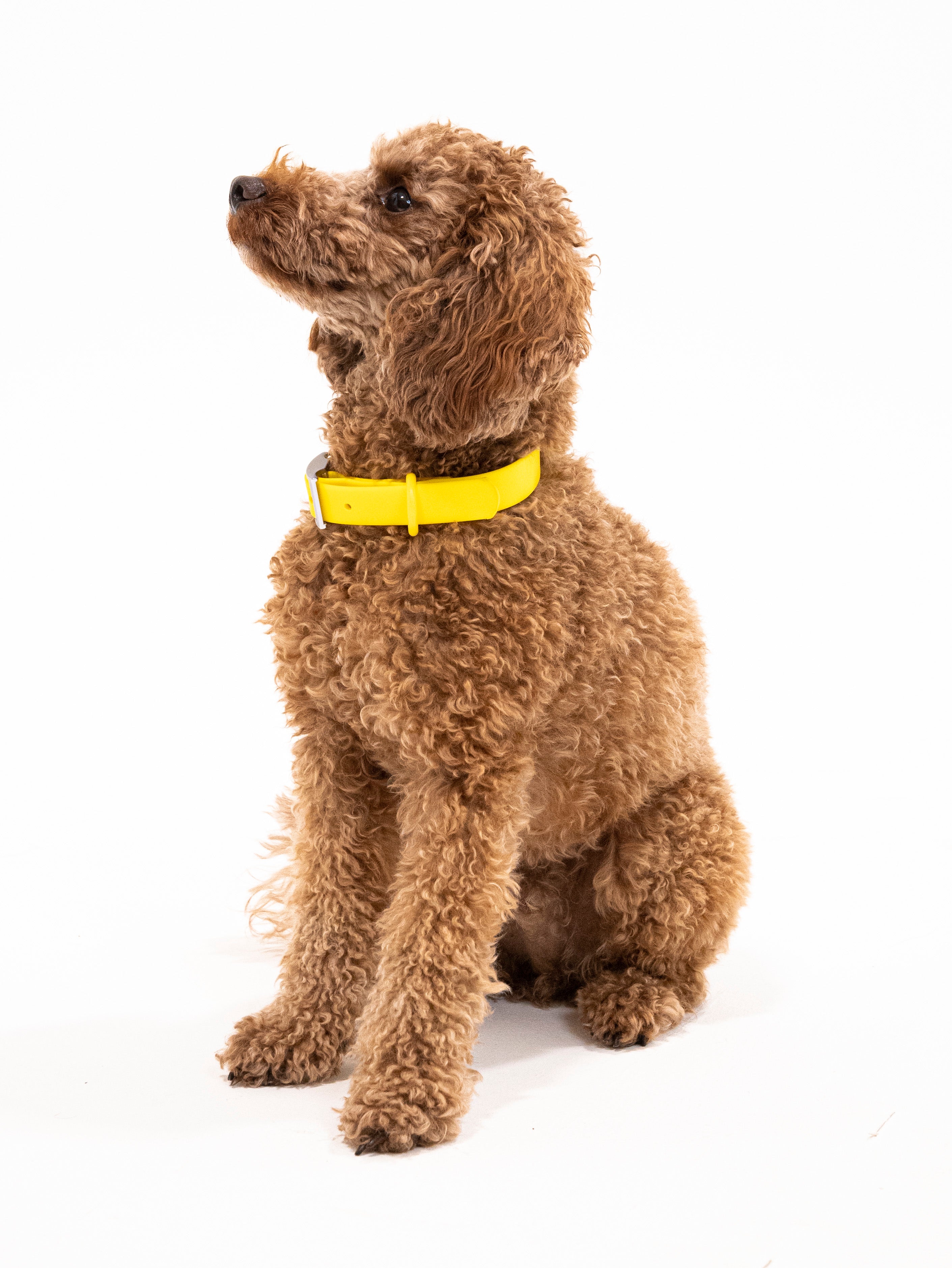 Sunny Soul Velvy Halsband