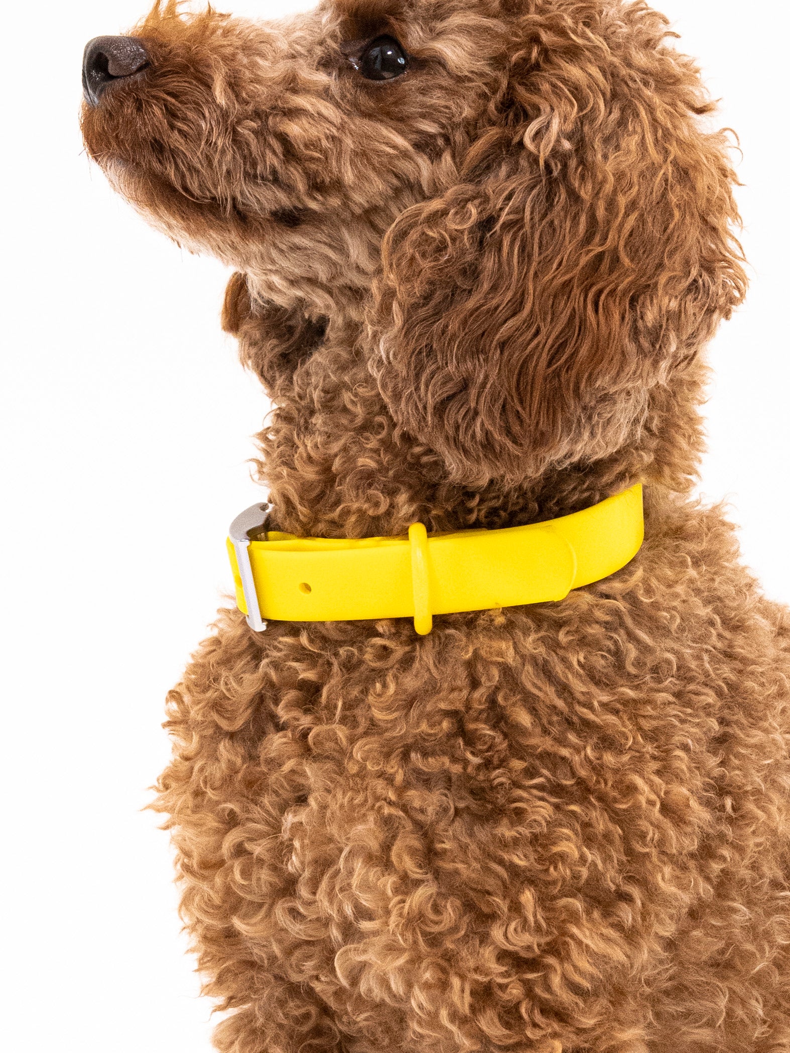 Sunny Soul Velvy Halsband