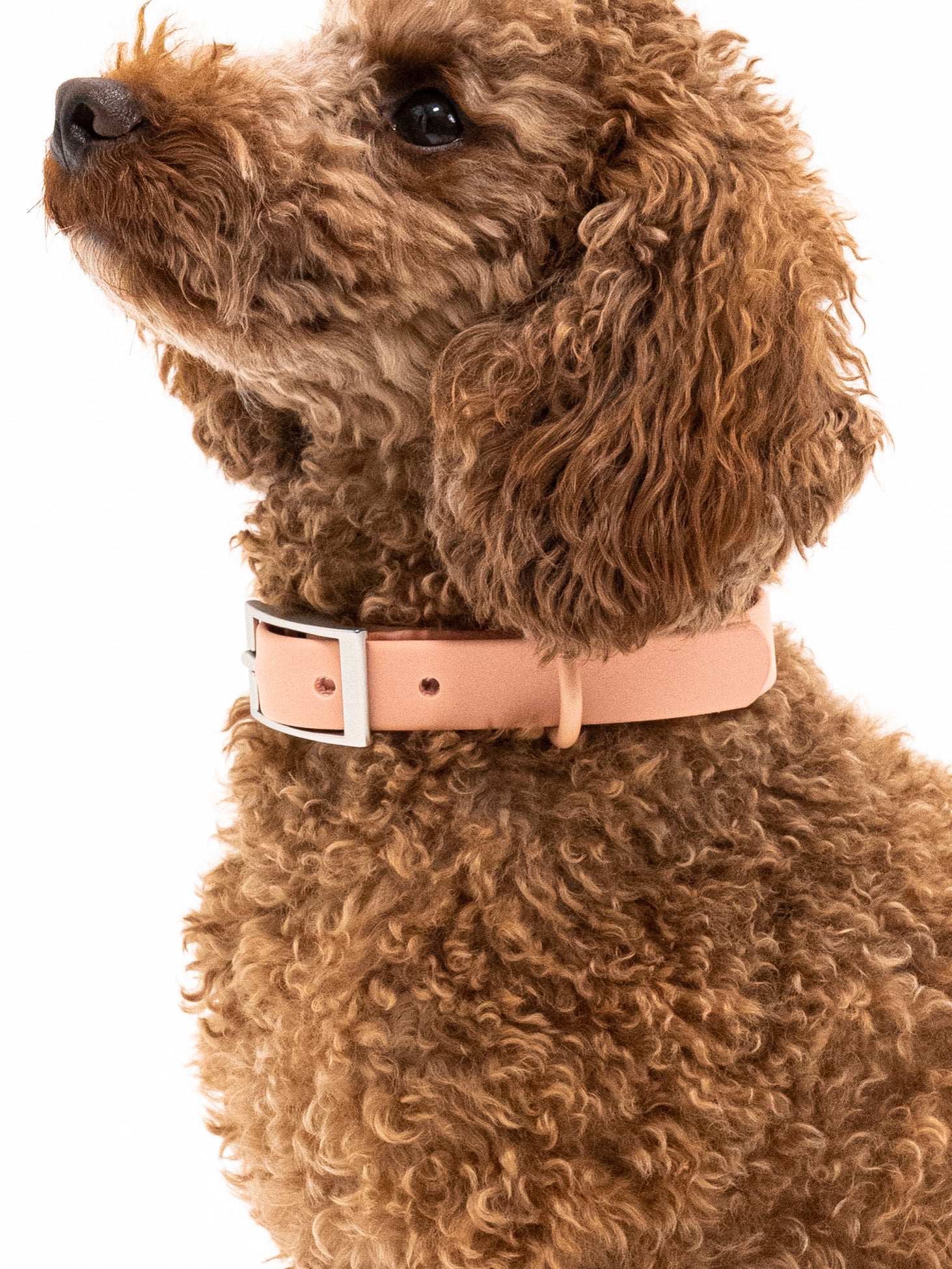 Pfirsich Velvy Halsband