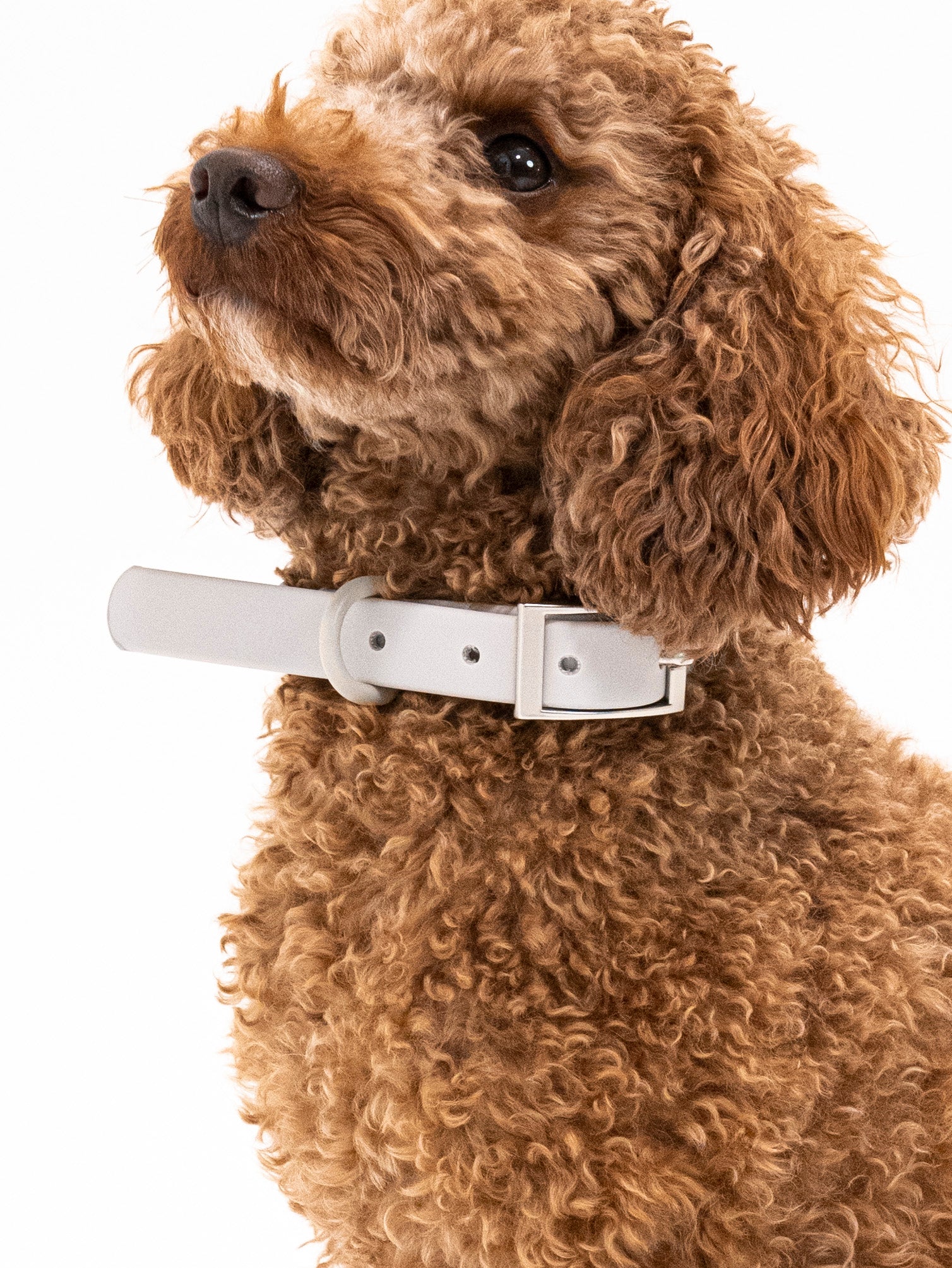 Graphit Velvy Halsband Set