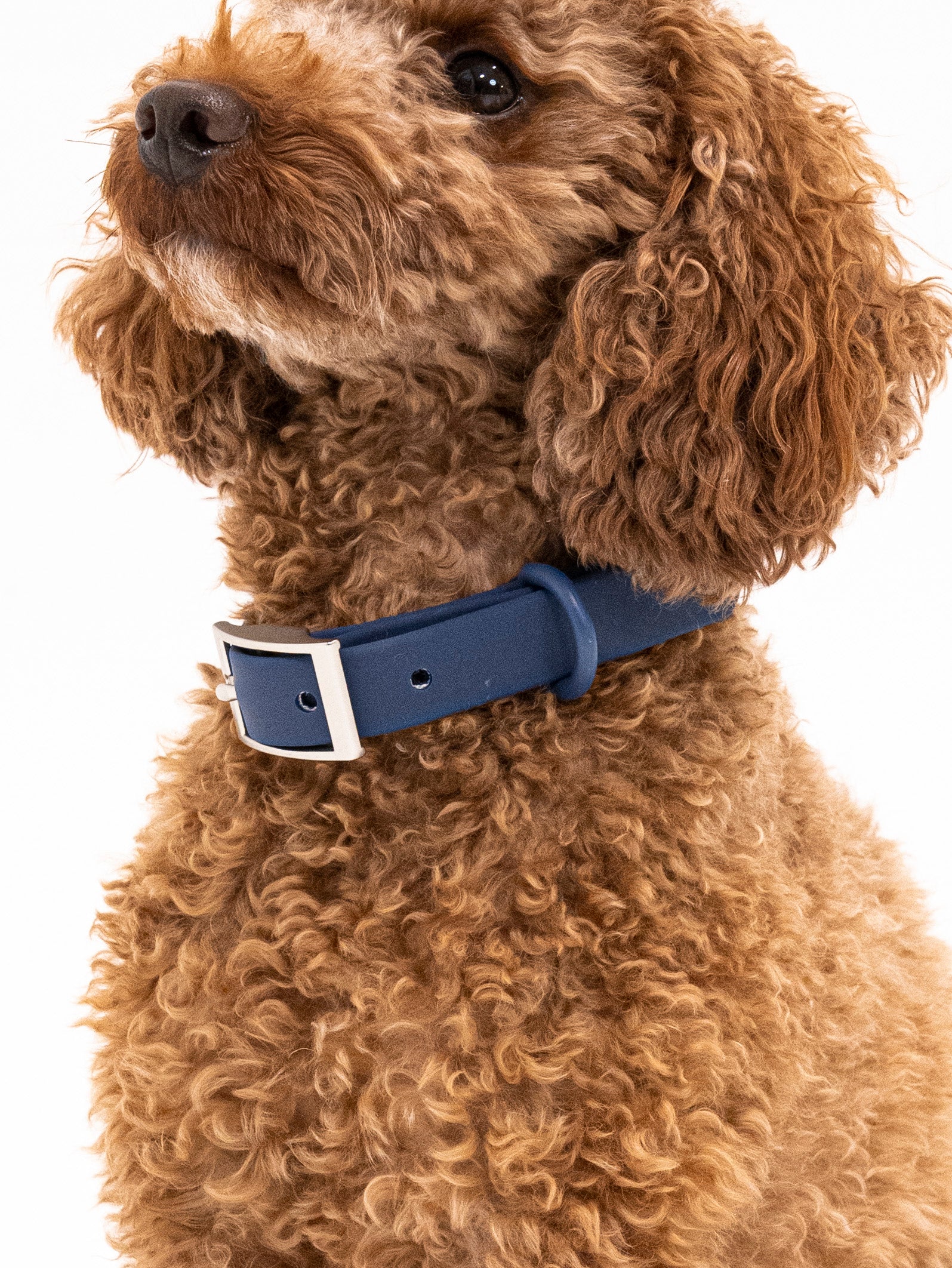 Navy Velvy Halsband