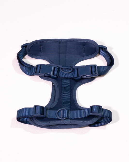 Navy Velvy Geschirr