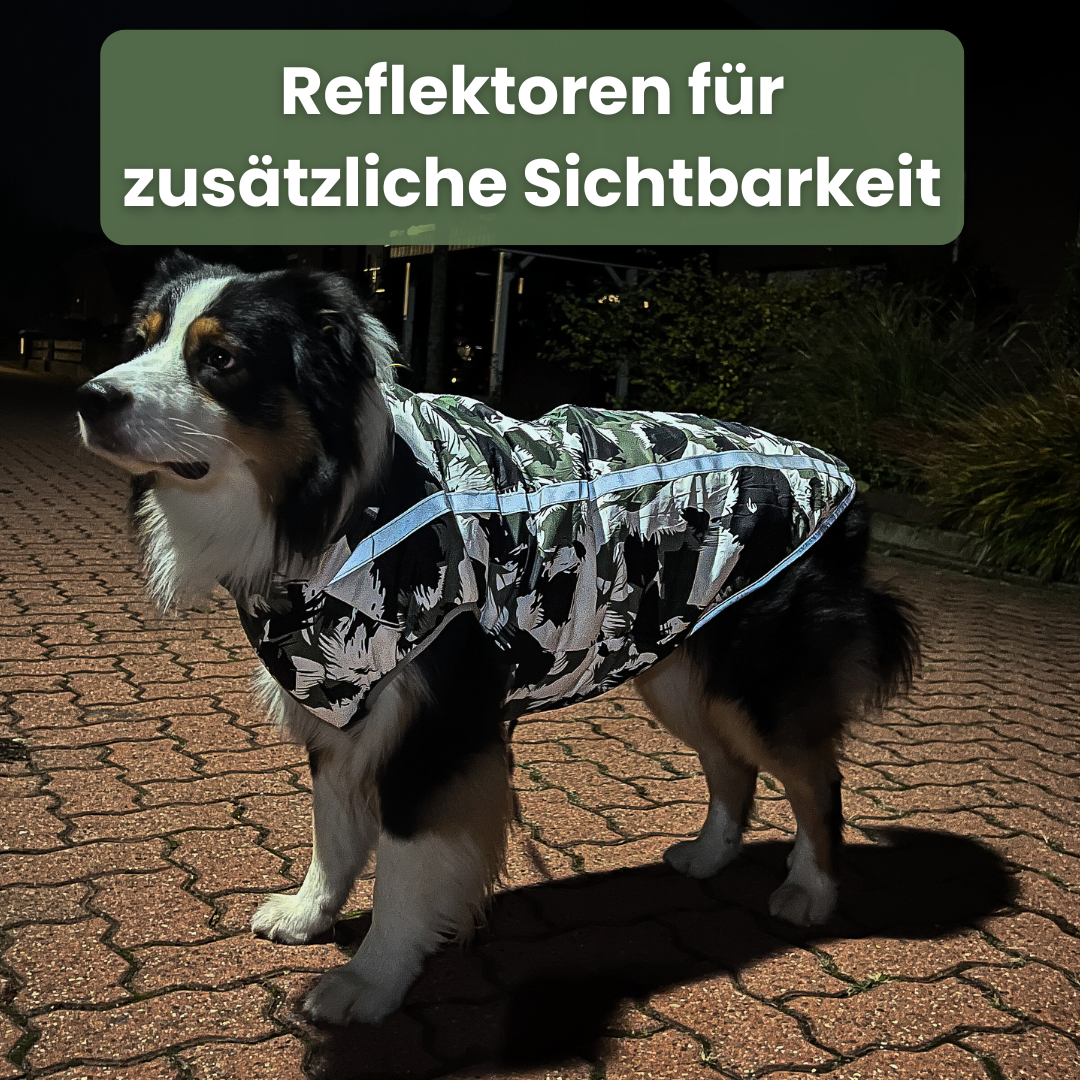 Active+ Thermo Hundemantel