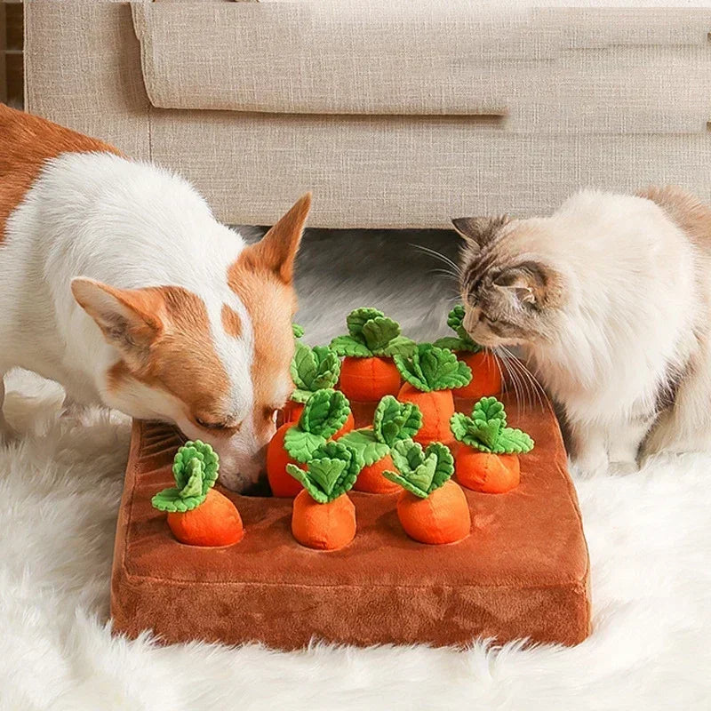 SniffCarrot - Karottenfeld