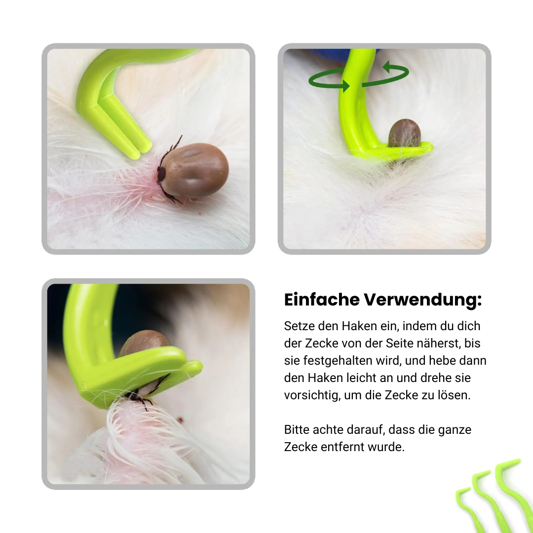 Zecken - Set